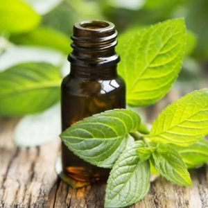 Peppermint Oil
