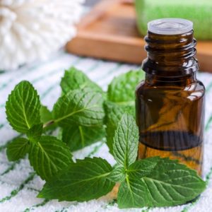 Spearmint Oil