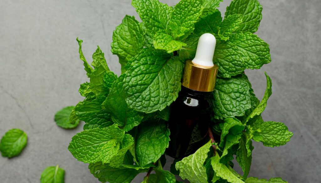 dementholised-mint-oil-essential-oil-supplier-exporter-india