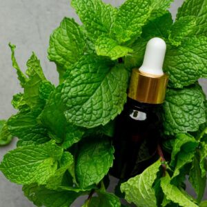 oil of dementholised mint